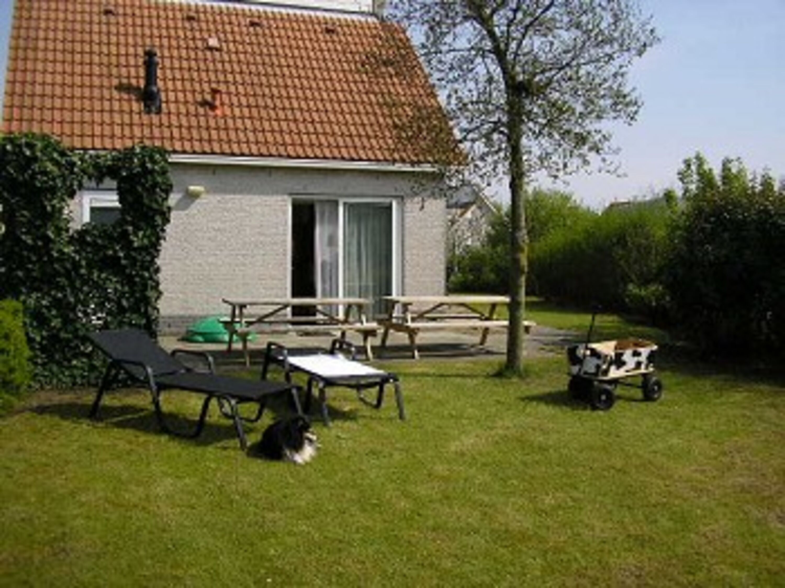 Bild 9