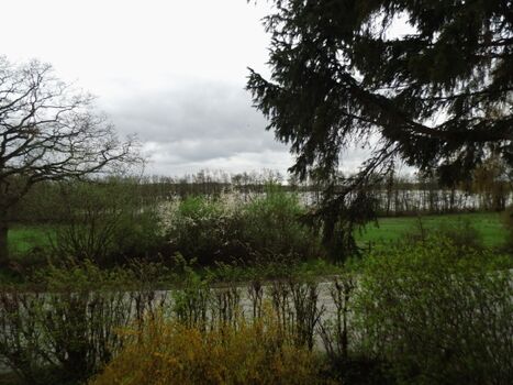 Blick aus dem Küchenfenster