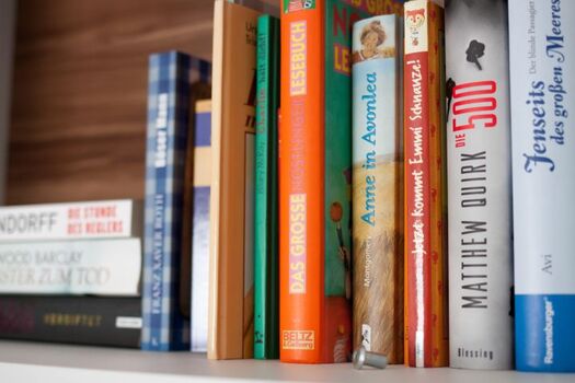 Wenn es mal gemütlich zugehen soll, warten Bücher und viele DVDs auf Sie