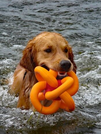 Hundebadespass in der Ostsee