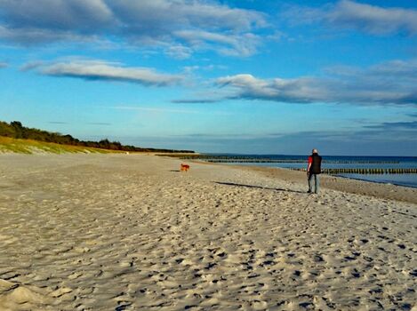 Spaziergang mit Hund am Strand