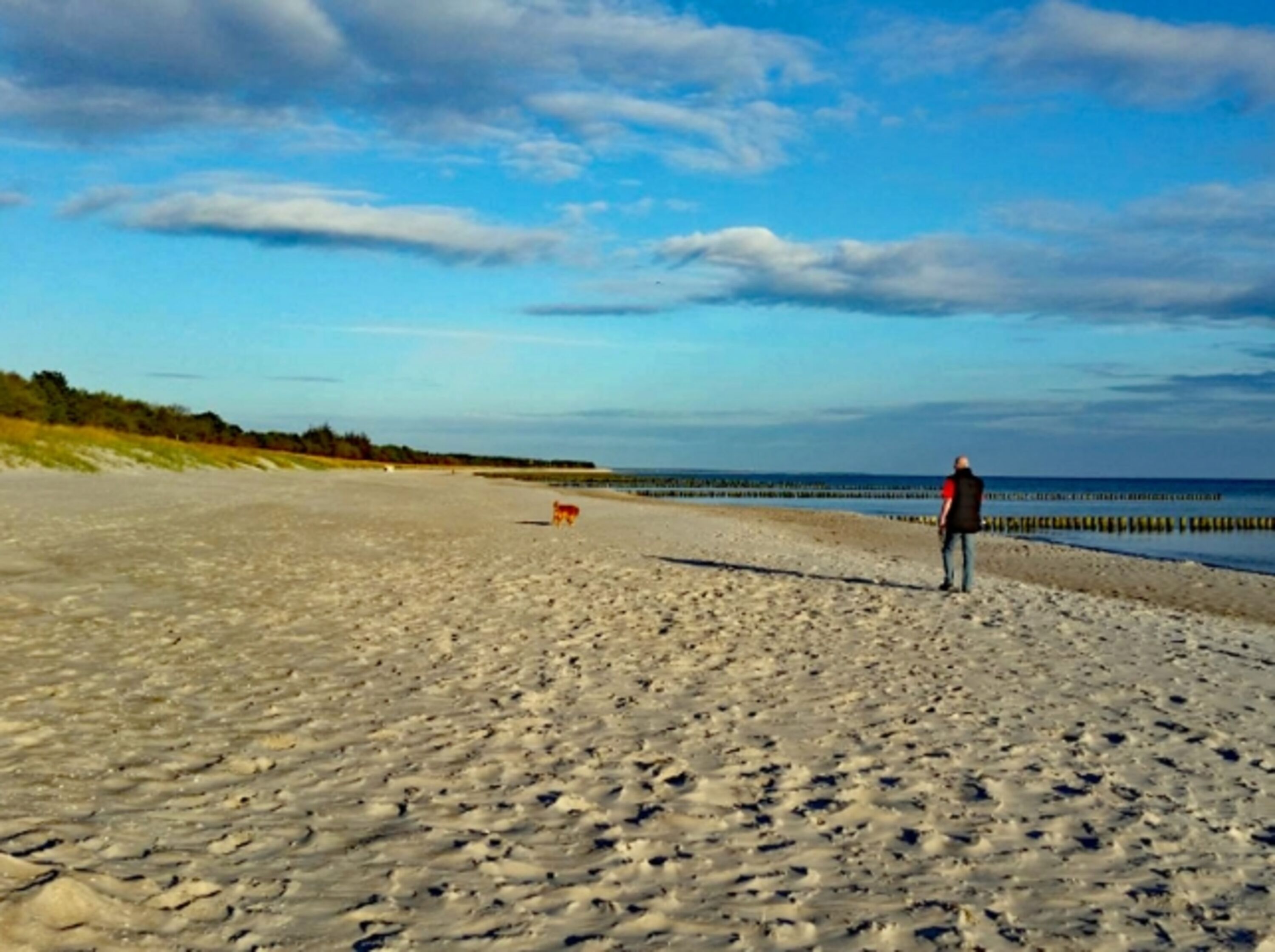 Spaziergang mit Hund am Strand