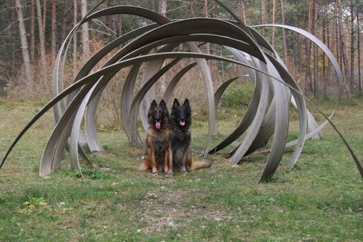 LandArt - Wanderweg gut von der Villa aus erreichbar