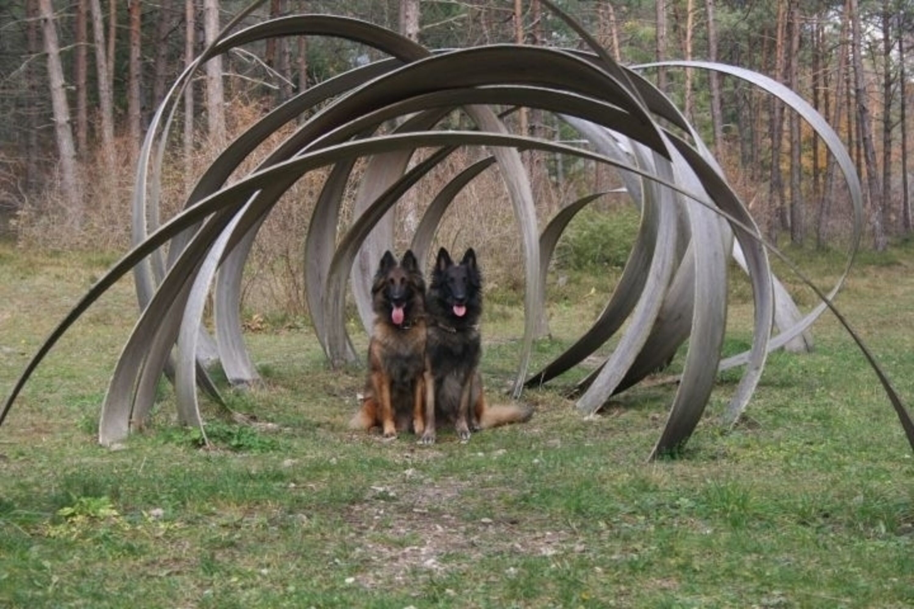LandArt - Wanderweg gut von der Villa aus erreichbar