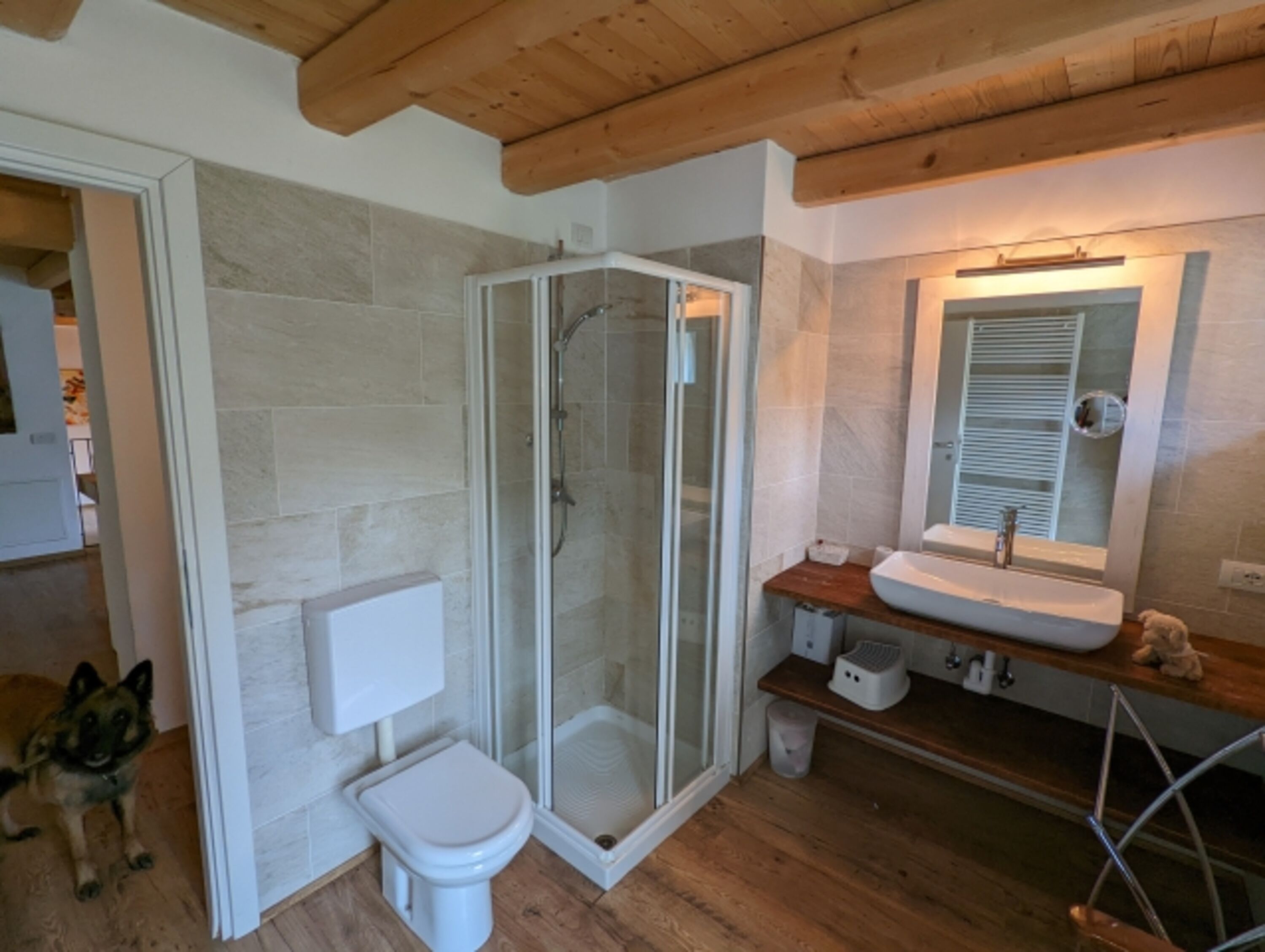 Bild 15