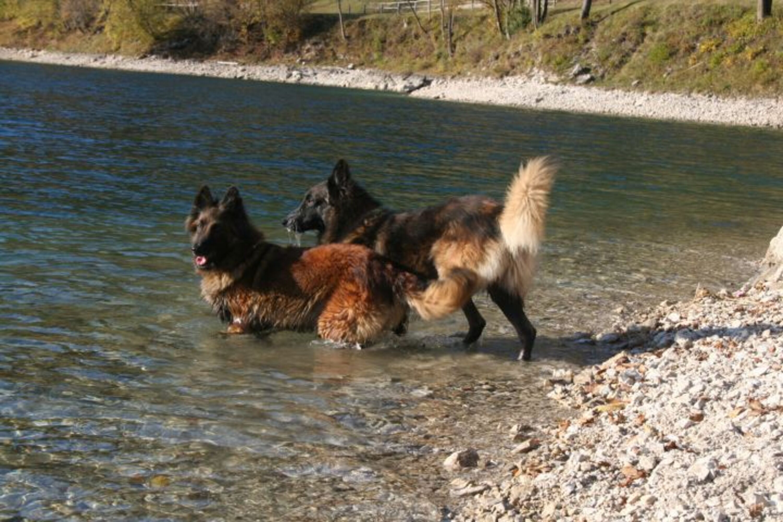 viel Spaß am Ledrosee