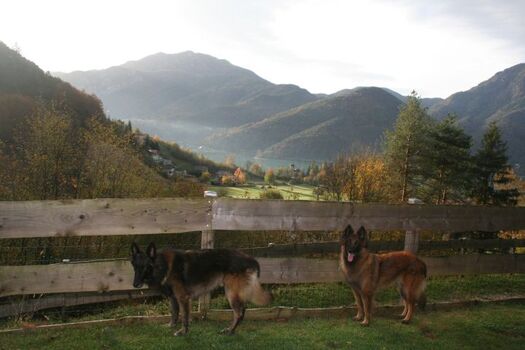 herrlicher Blick vom Garten