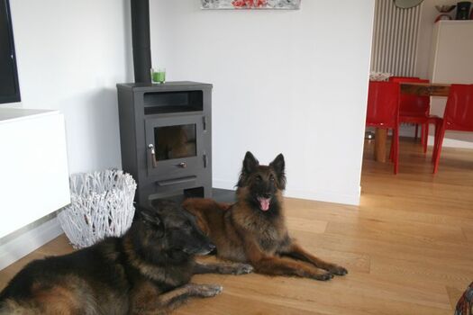 Gemütlichkeit durch den Schwedenofen