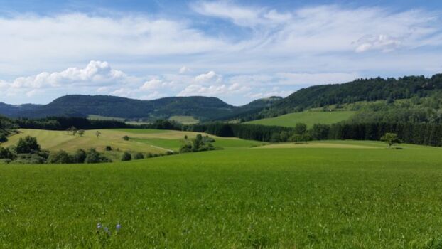 weite Wiesen und Wälder