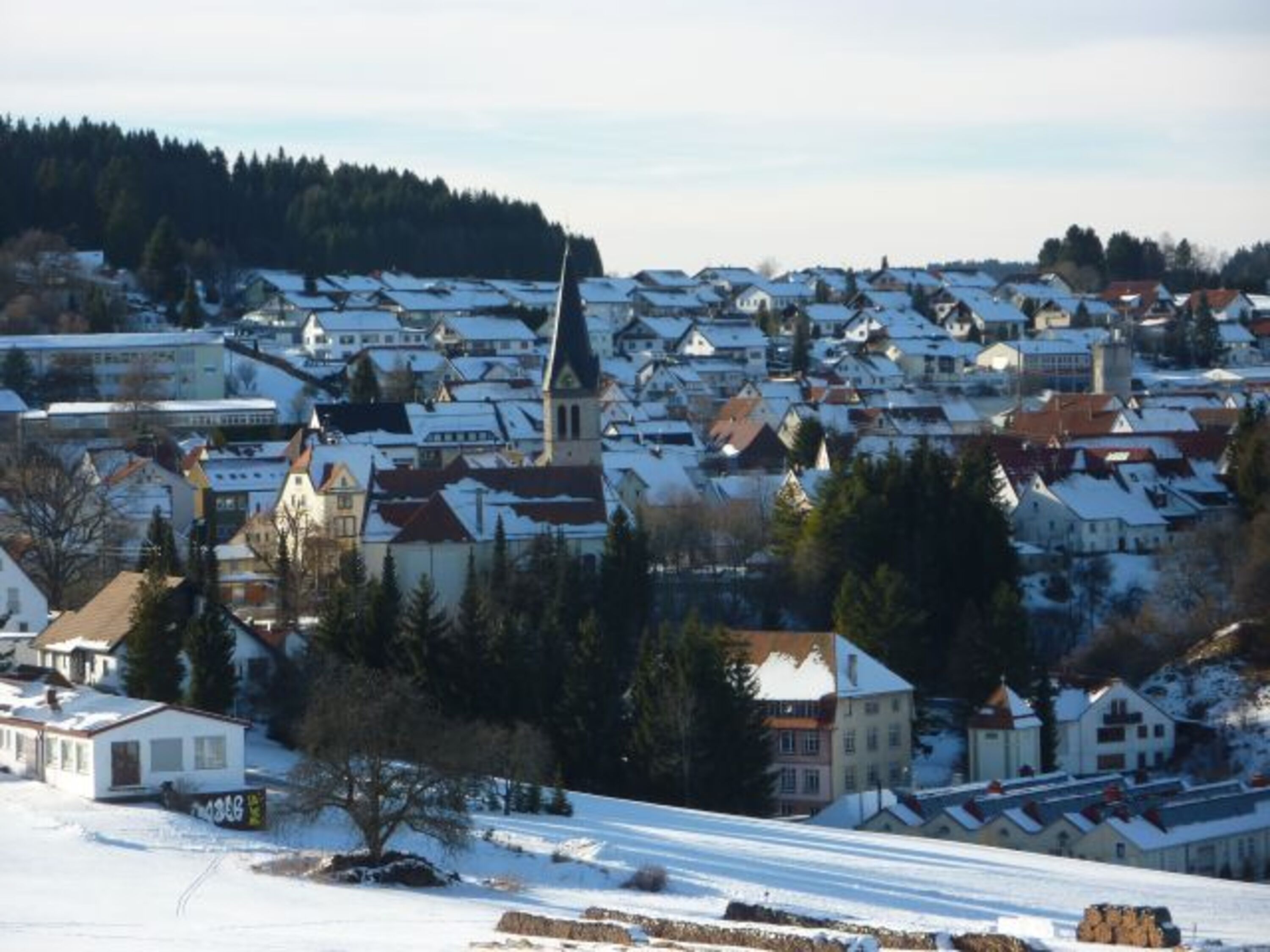 Unser Dorf