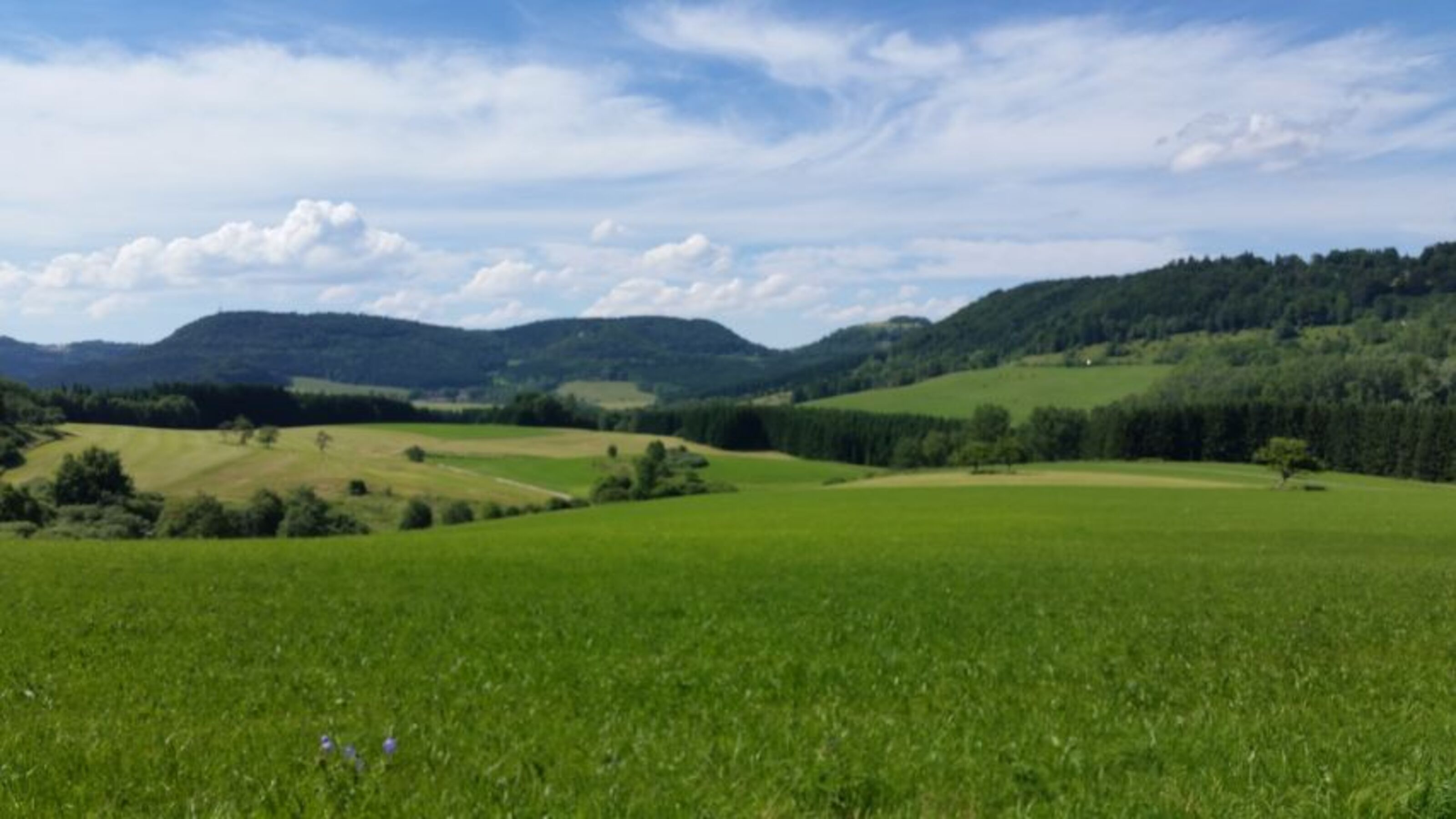 weite Wiesen und Wälder