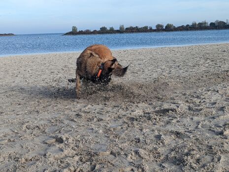 Sparß und Spiel am Strand fußläufig