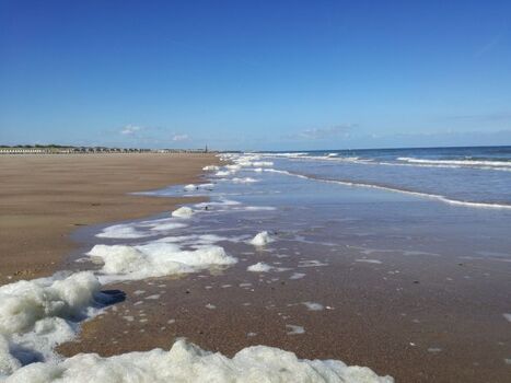 Strand Impressionen - nur ca 600m entfernt 