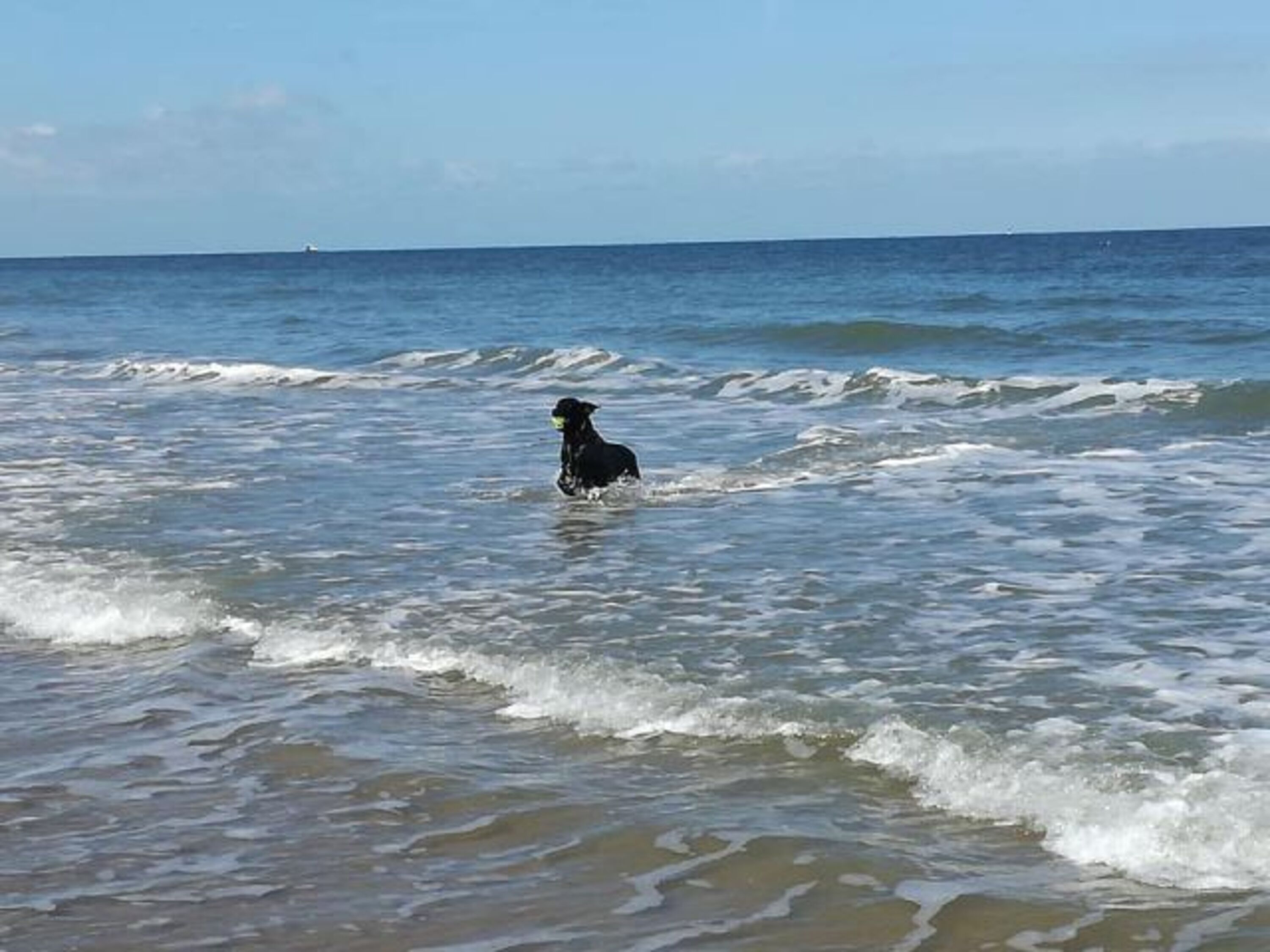 Strand Impressionen