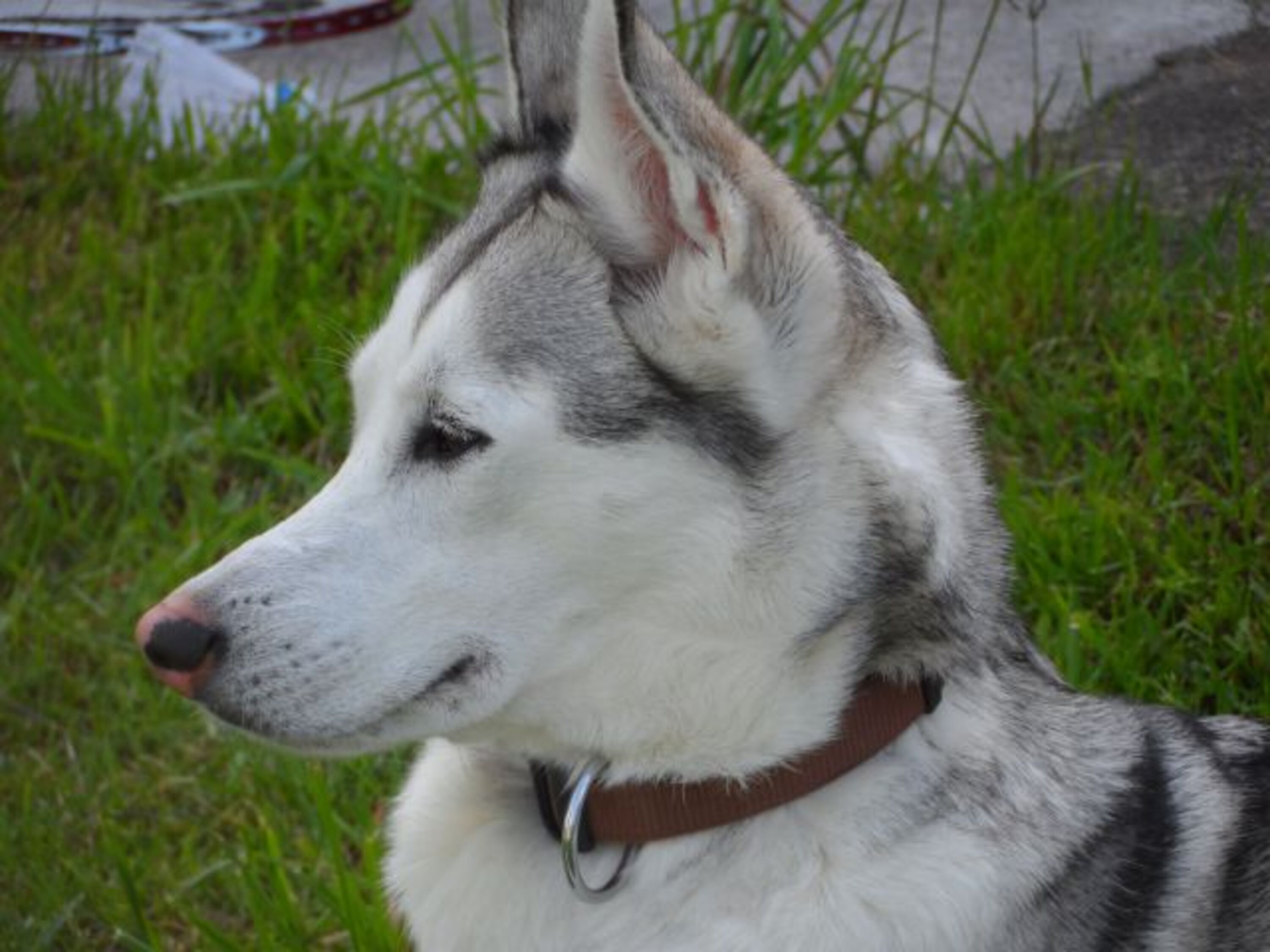 Bild 20