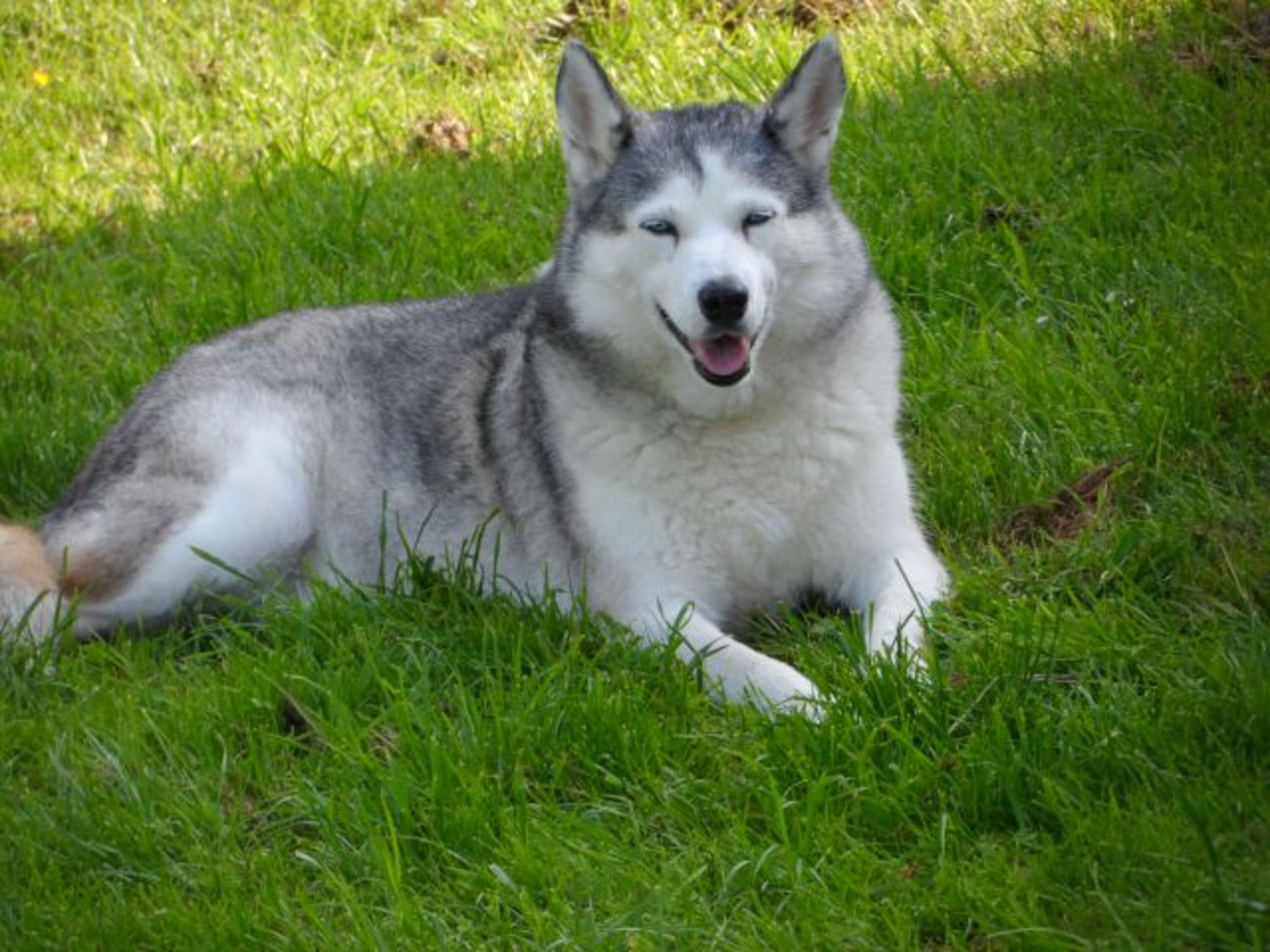 Bild 19
