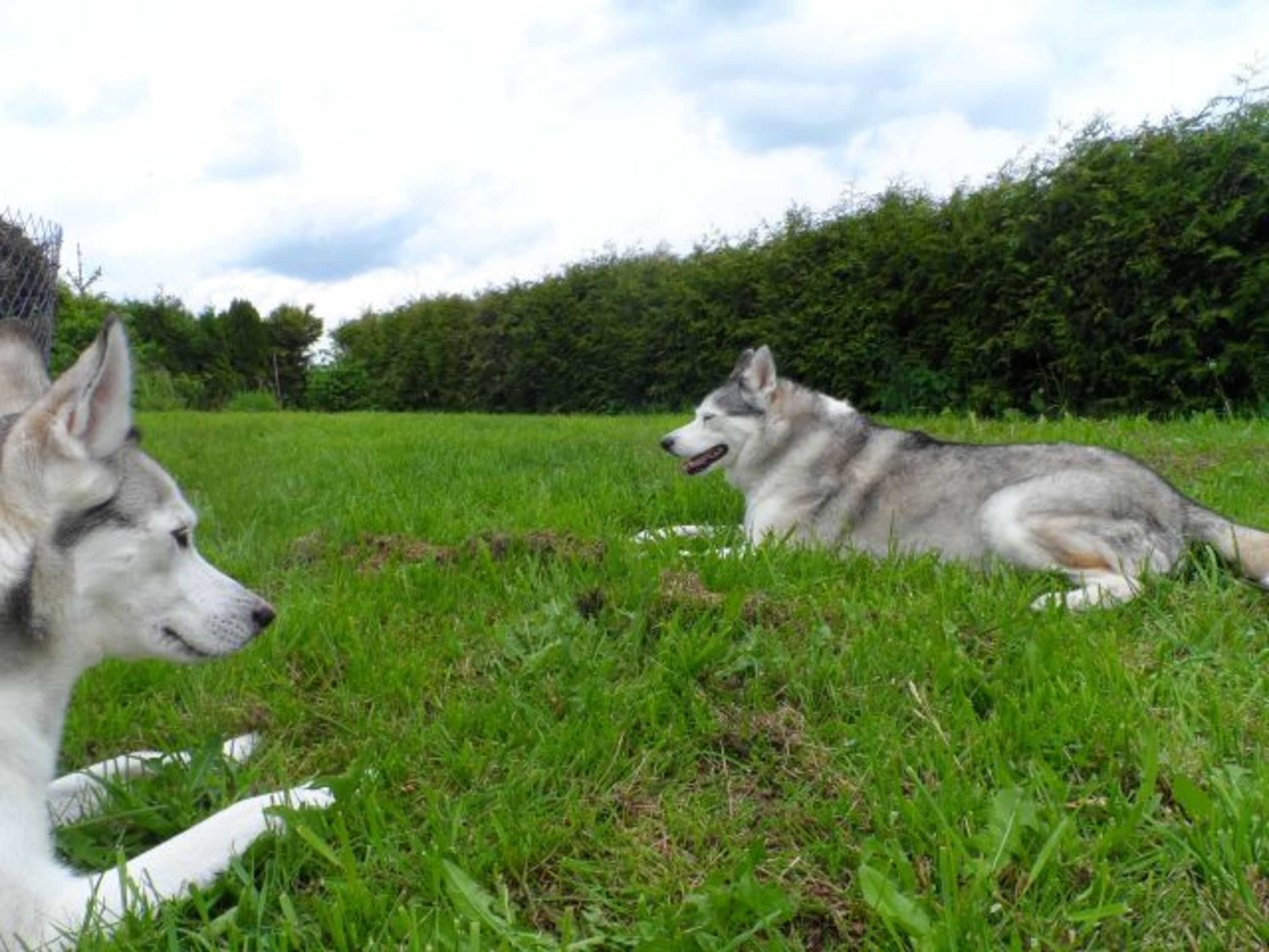 Bild 5