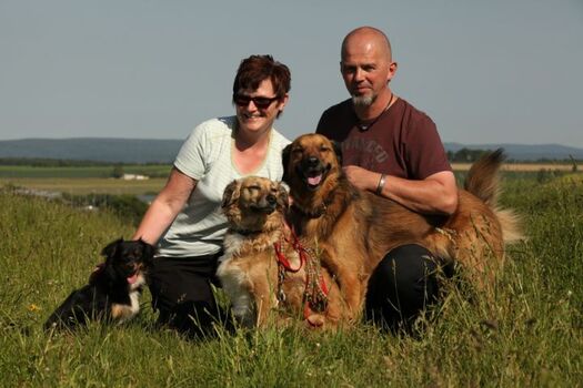 Ferienhaus mit Kaminofen, eingezäunter Garten, Hunde wohnen ...