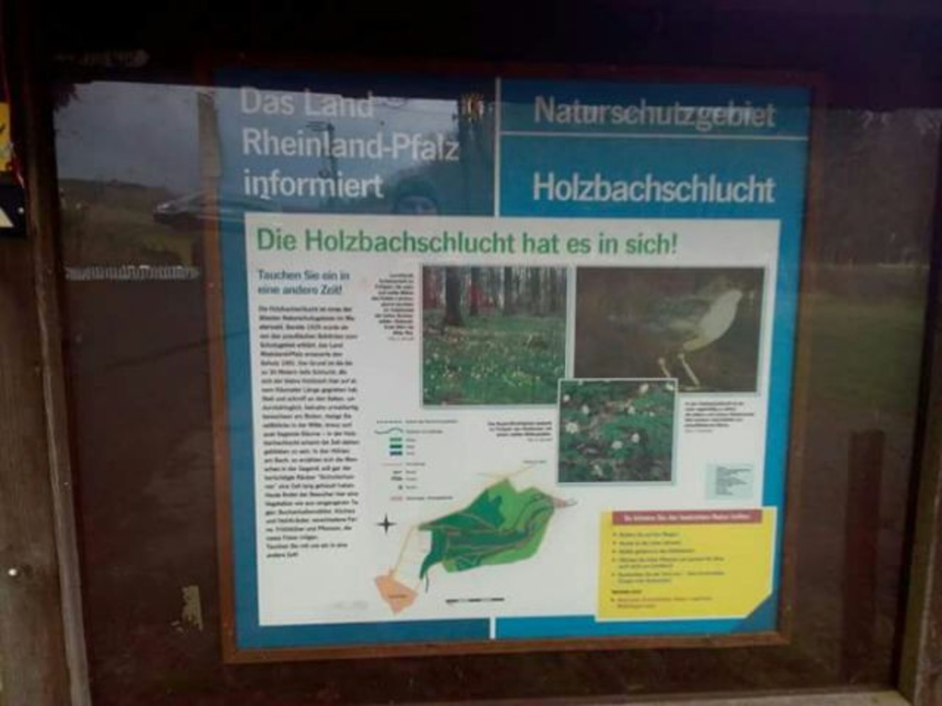 Holzbachschlucht