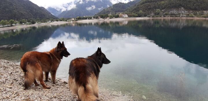 der Strand bei der Villa Federica