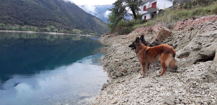 der Strand beim Ferienhaus