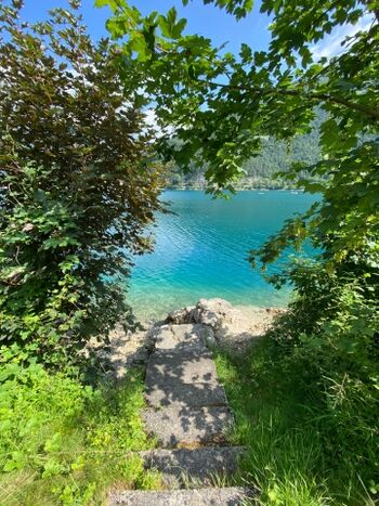 Zugang von der Terrasse zum See