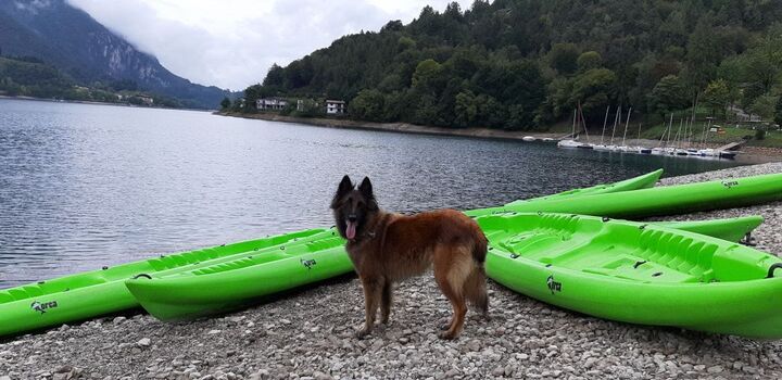 Strand in Pur di Ledro