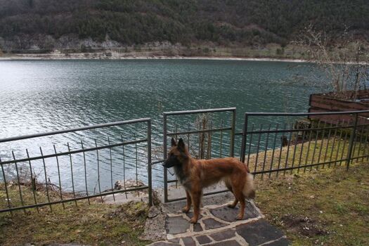 Seezugang Villa Federica