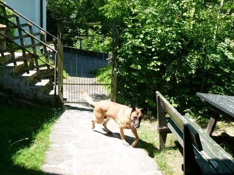 Teil der eingezäunten Terrasse