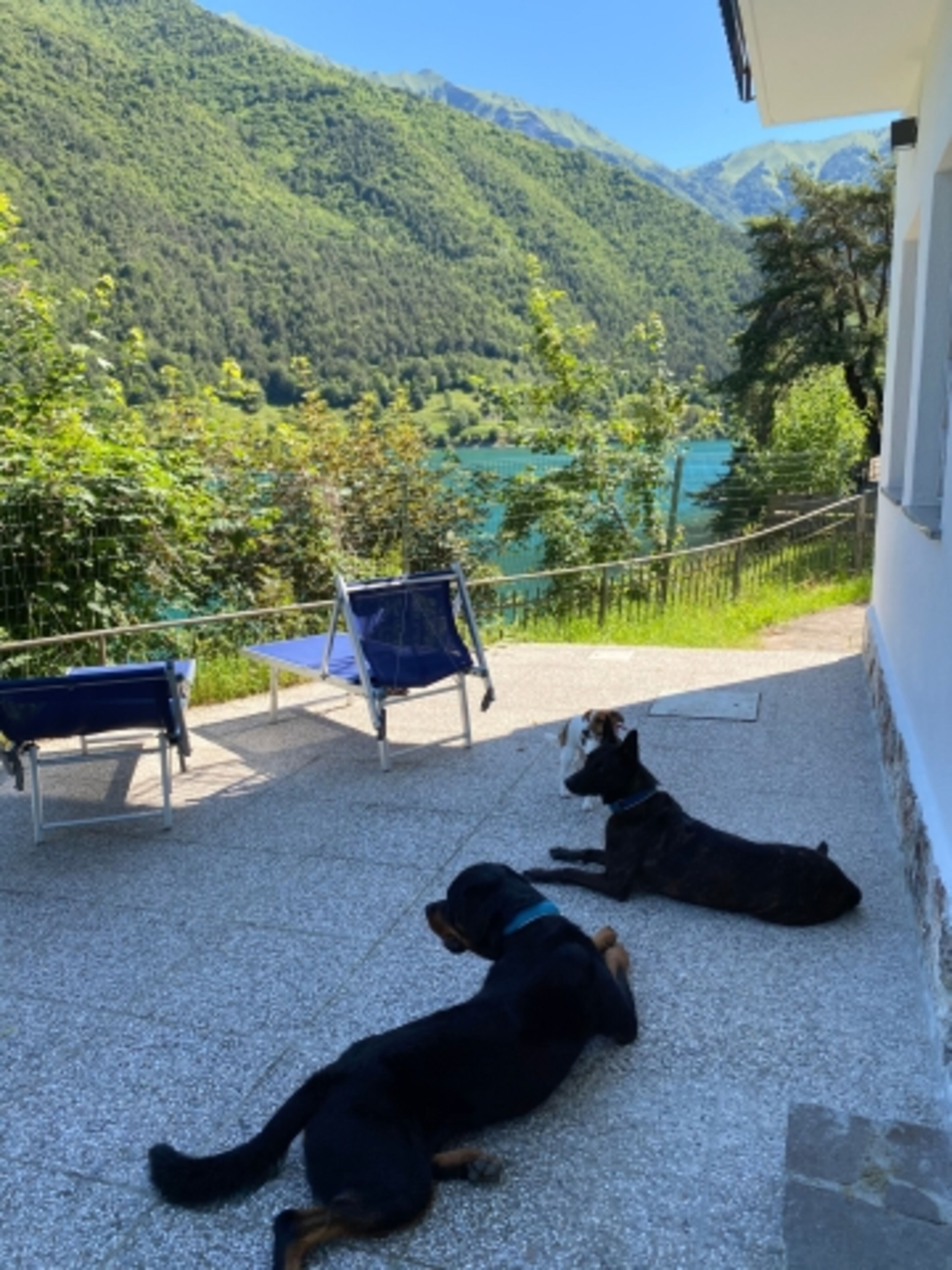 Hunde sind in der Villa herzlich willkommen