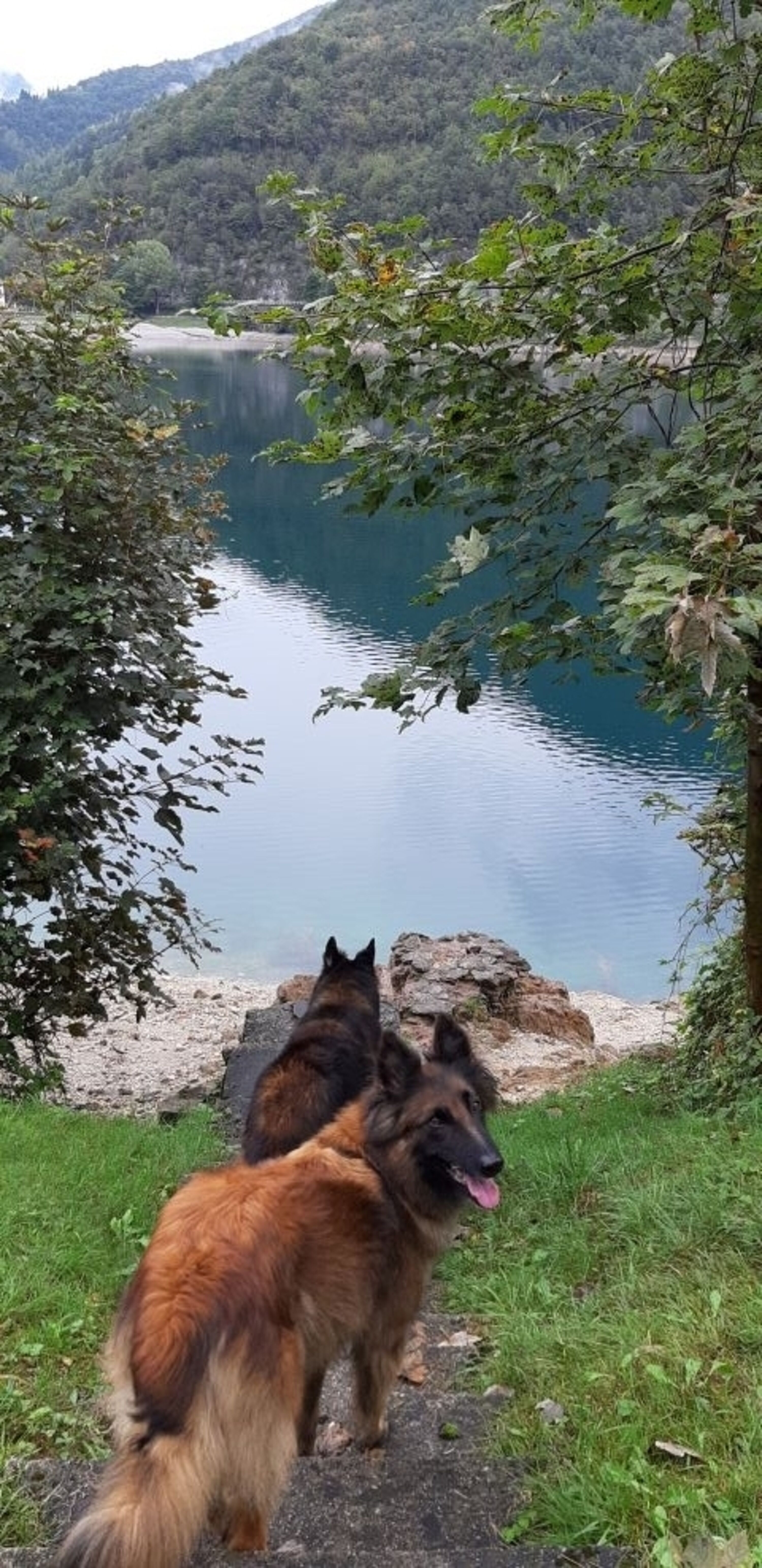 Zugang zum See