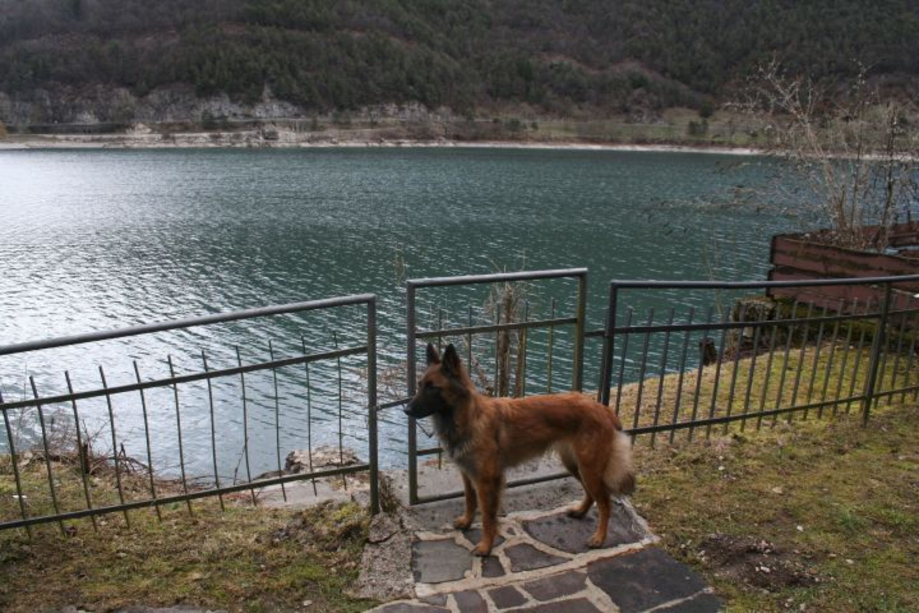 Seezugang Villa Federica
