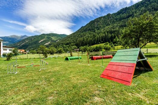 Große eingezäunte Hundewiese mit Agility Parcour und Hundeteich