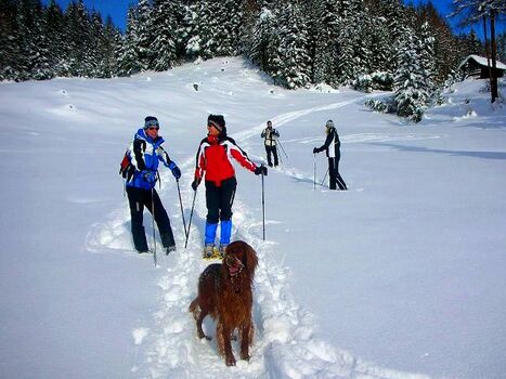 Geführte Wanderungen mit Hund