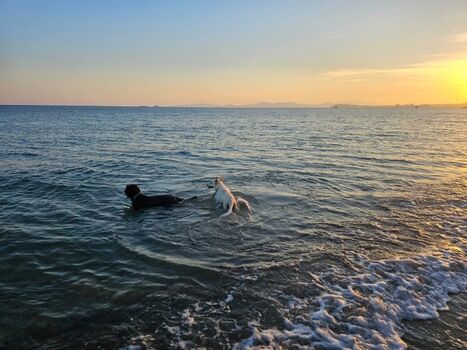 Badespass im nahen Meer