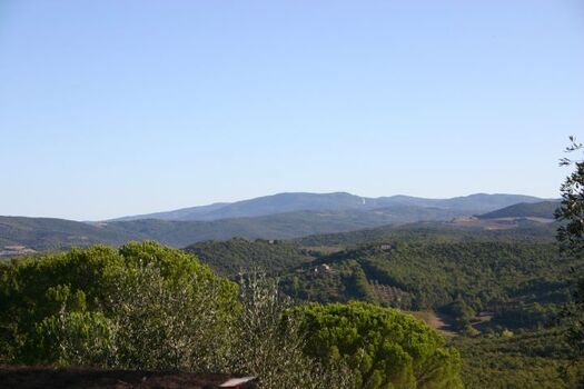 Bick in den Montioni Park