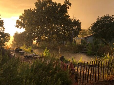 Teich mit Häuschen der Vermieterin