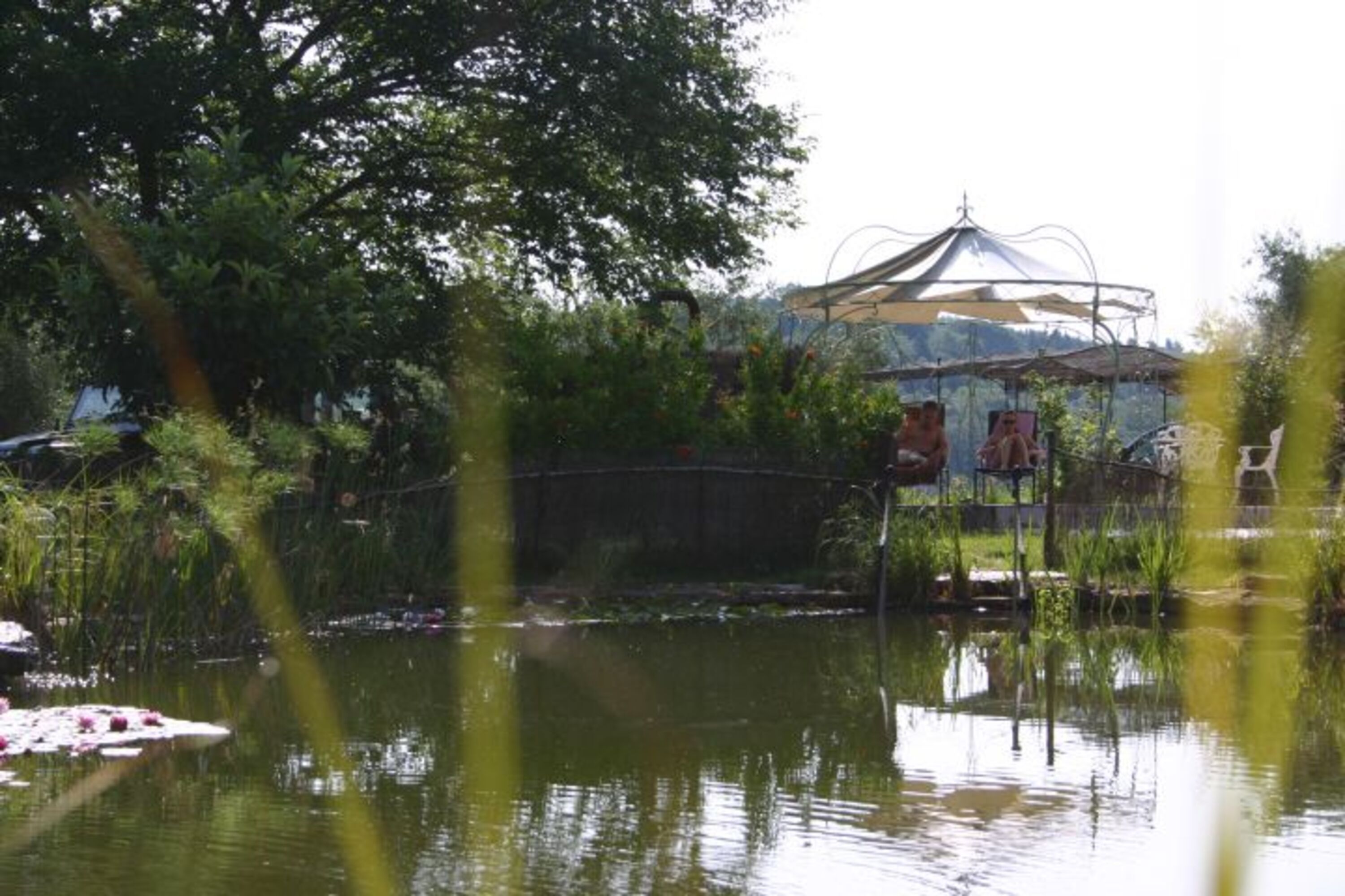 Bild 19
