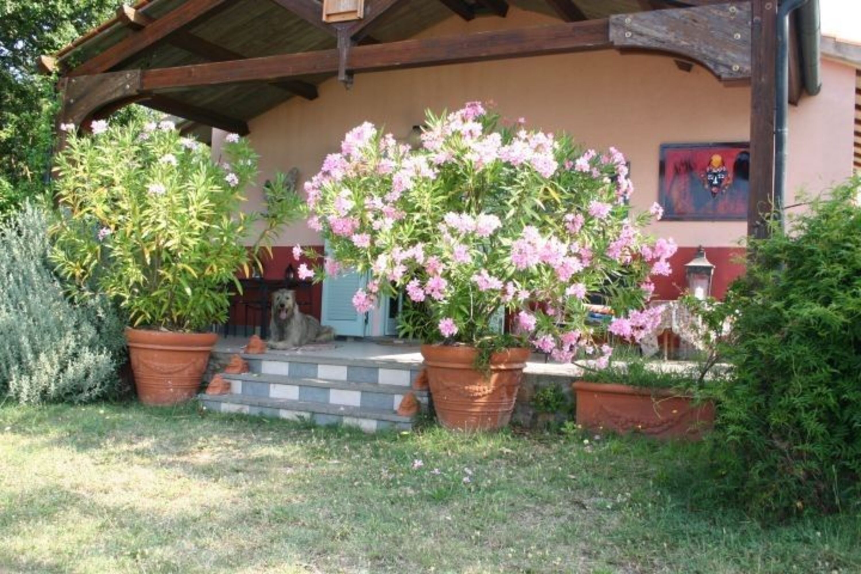 die Südterrasse