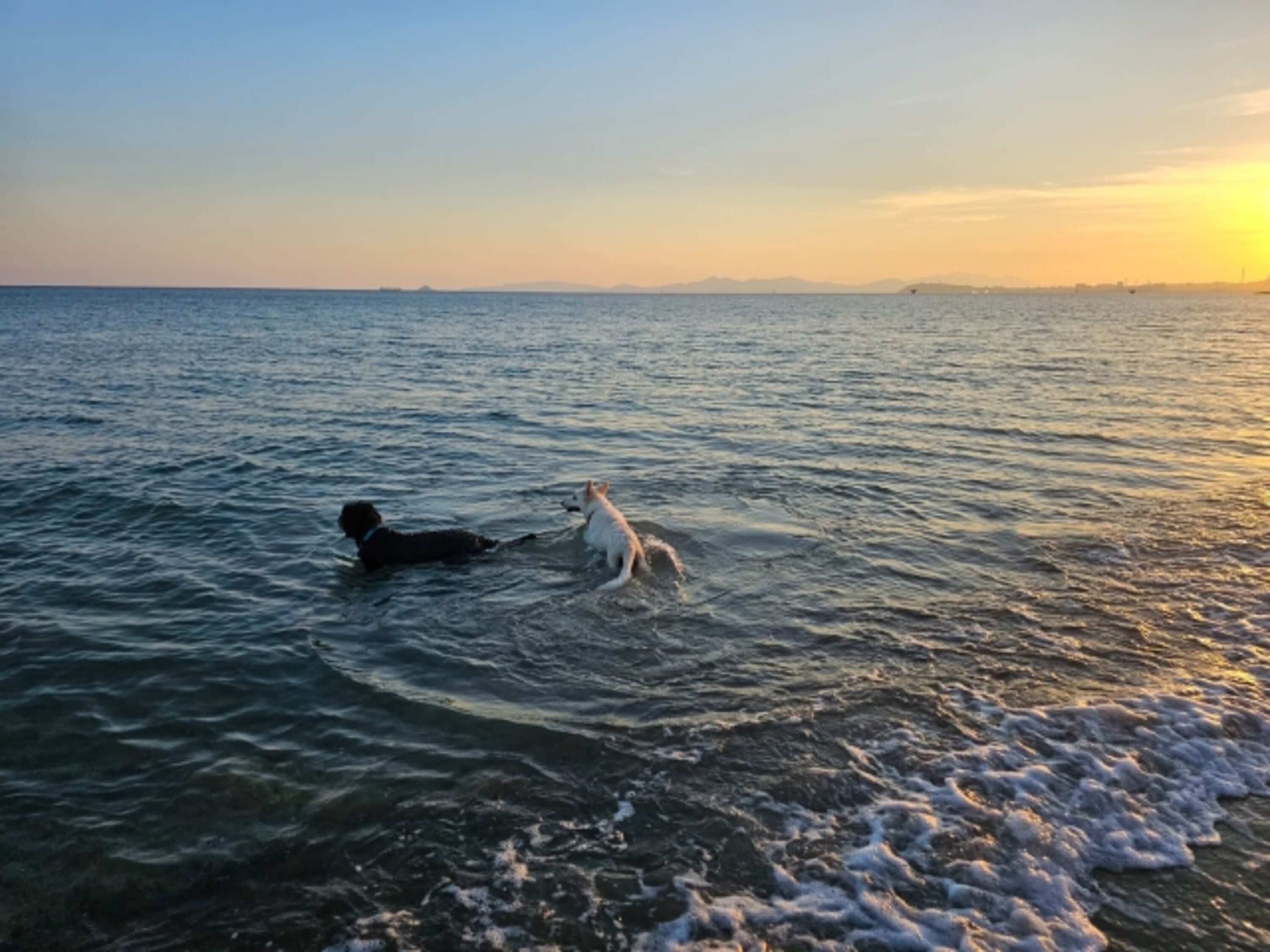 Badespass im nahen Meer