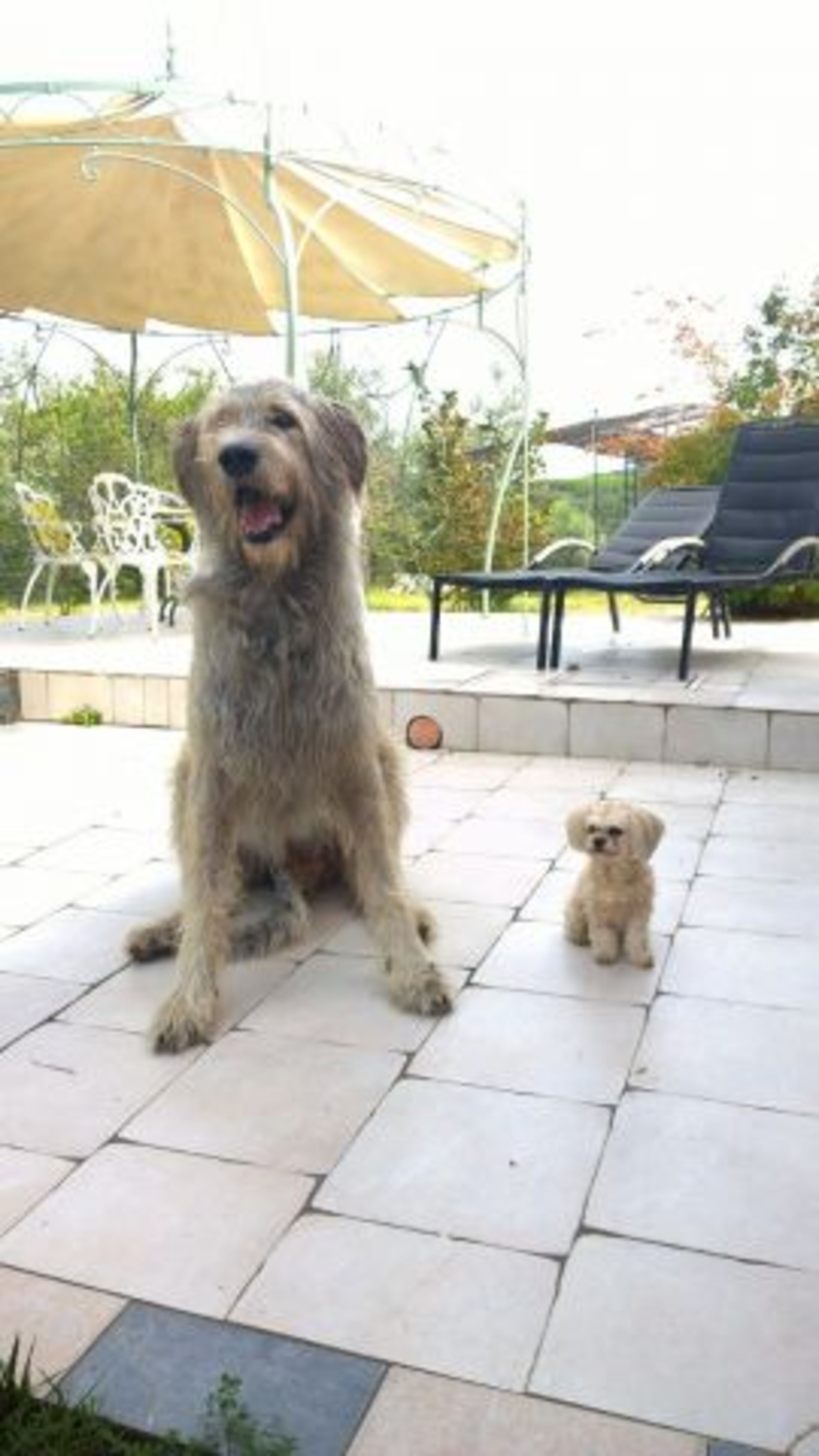 Bild 13
