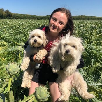 Hunde und Artischocken :-)