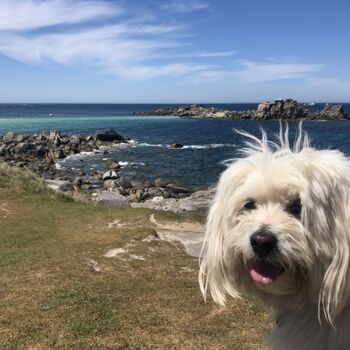 Ich liebe Spaziergänge am Meer - Das ist super :) - Willkommen !