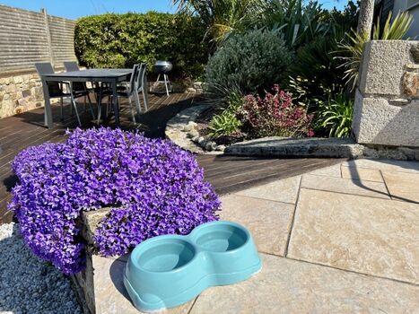 und auch Hundeurlaub :)