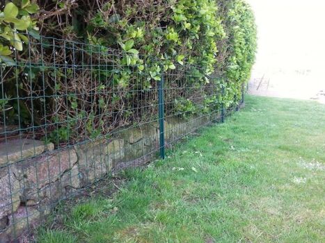 Garten ist gross (3300 qm) und eingeschlossen! Hecke   Zaun  - alles güt - - Uberall !