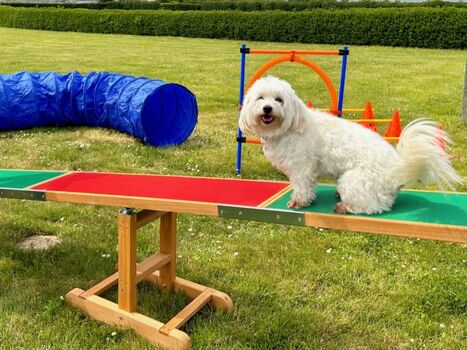 und Sport für alle ! Willkommen !