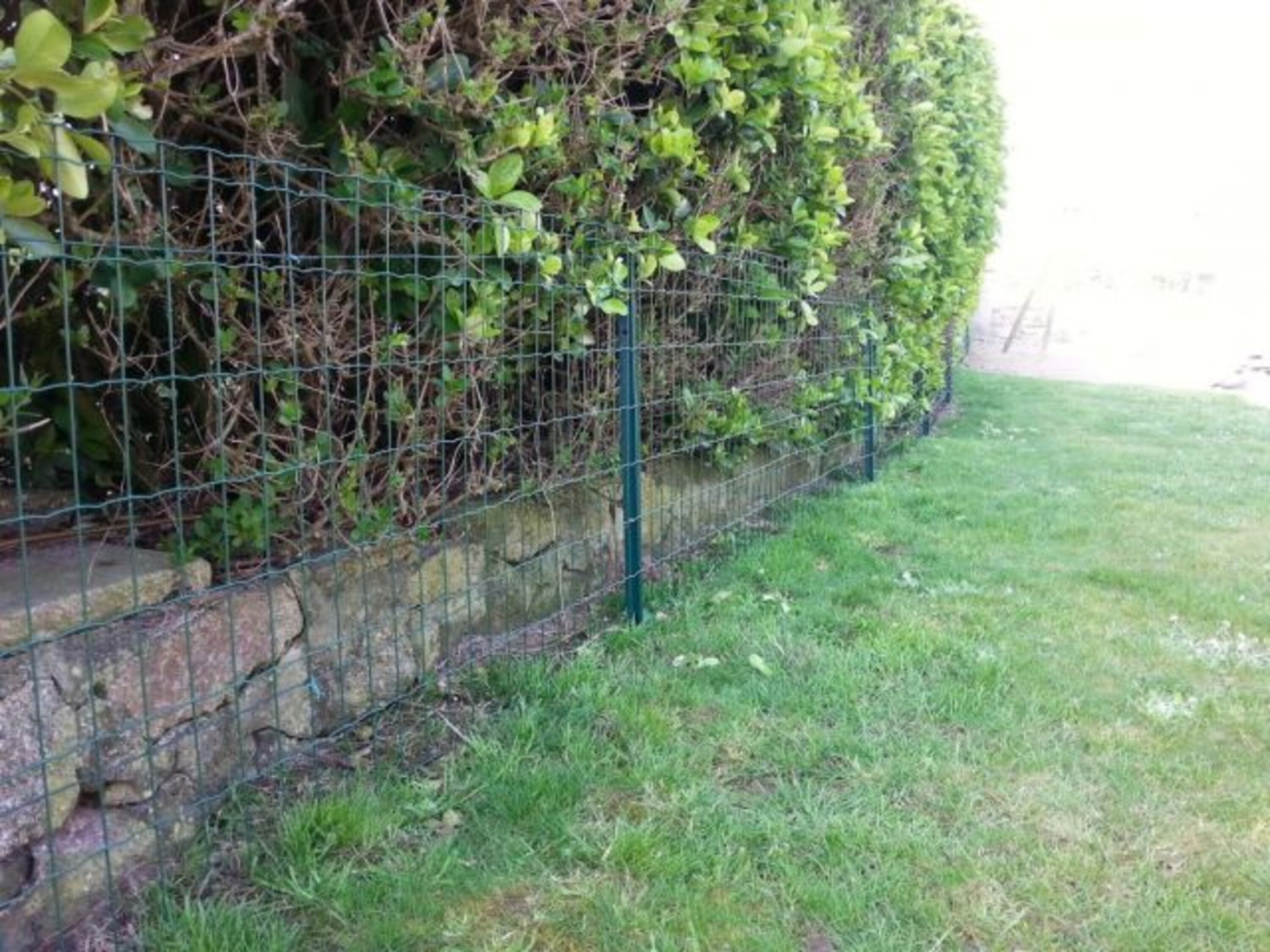 Garten ist gross (3300 qm) und eingeschlossen! Hecke Zaun - alles güt - - Uberall !