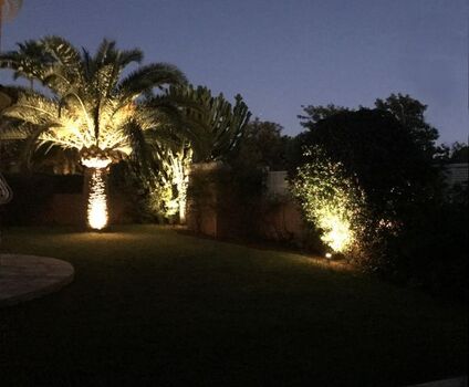 Der Garten bei Nacht