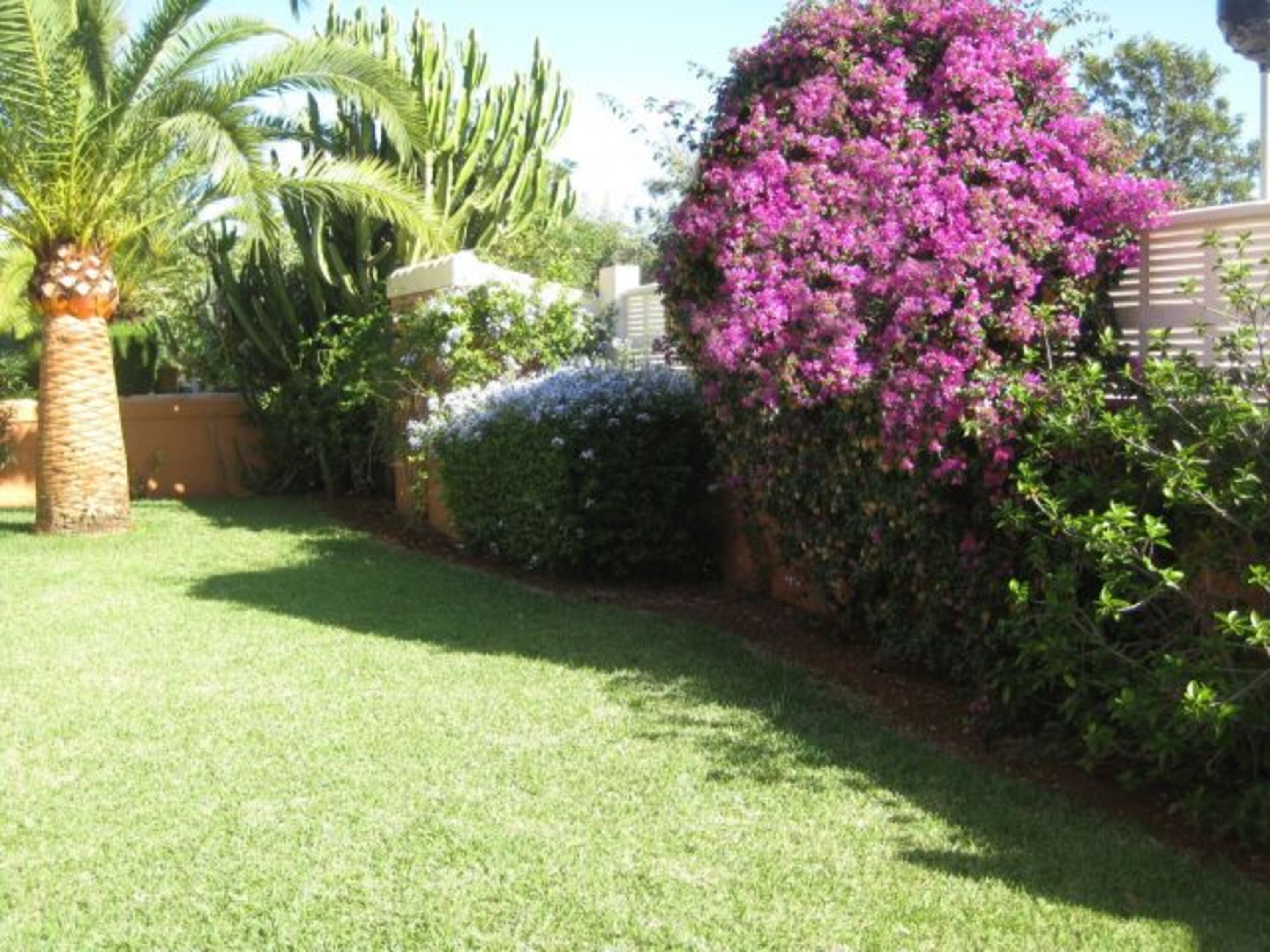 900 qm großer mediterraner komplett eingezäunter und uneinsehbarer Garten