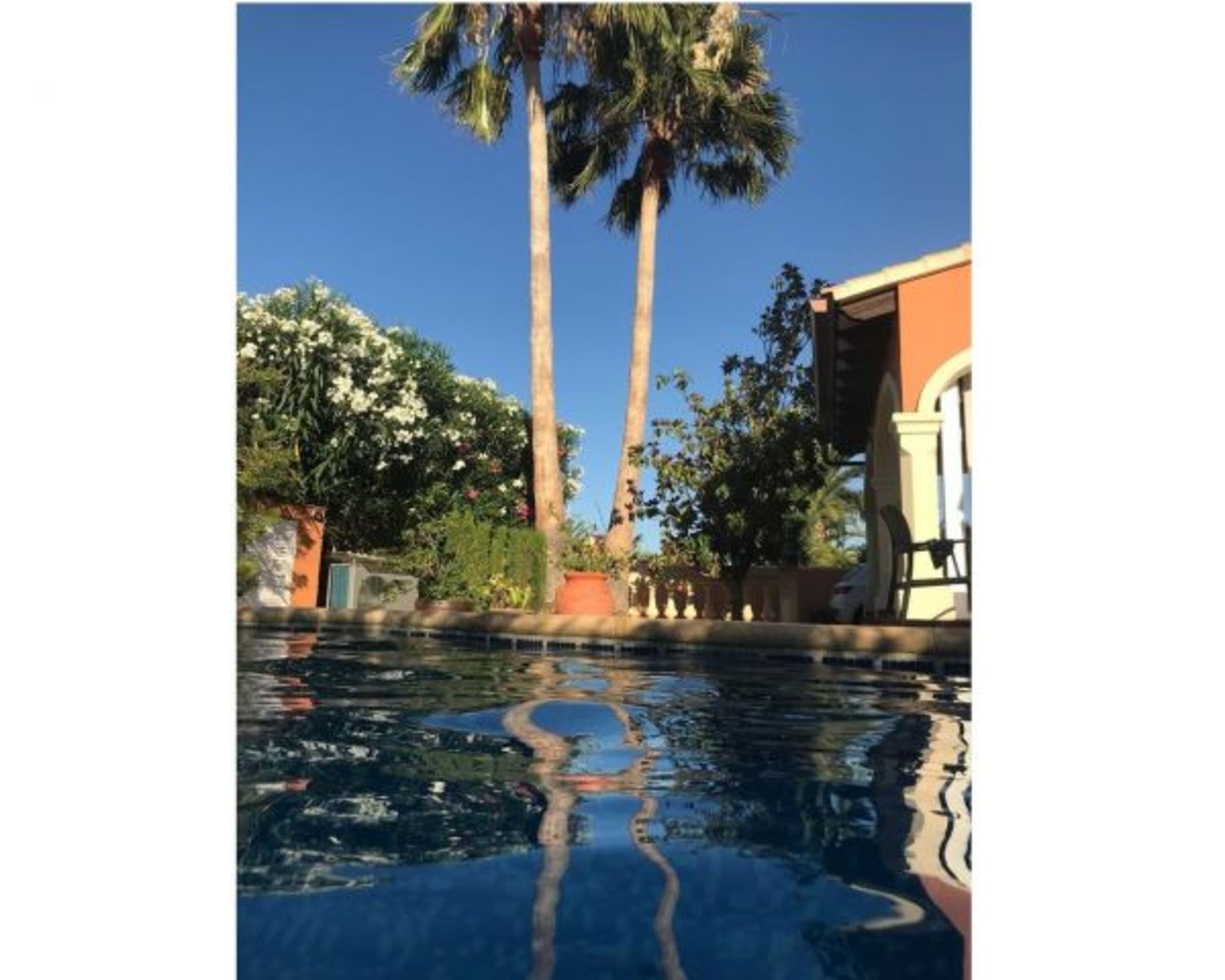 Der Pool